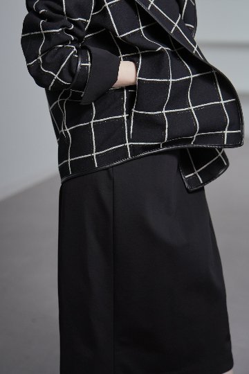 Gaia W Windowpaneの画像