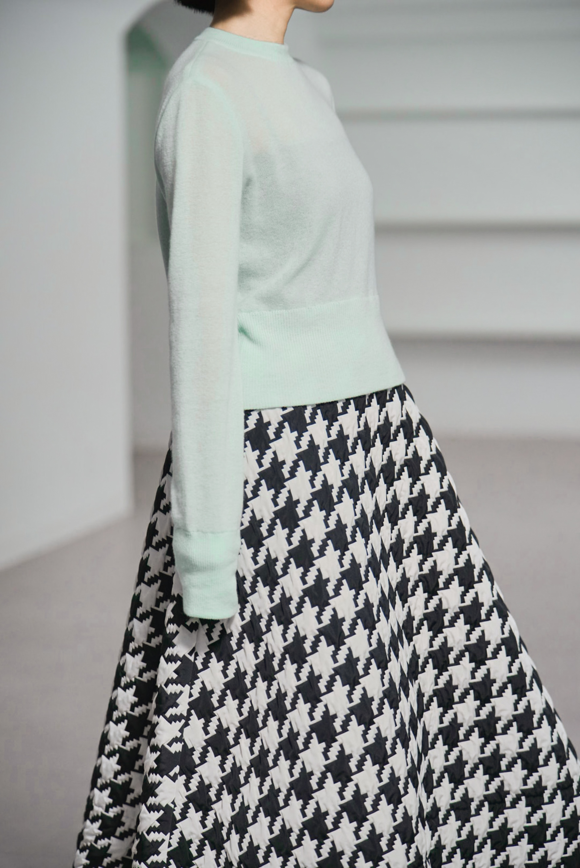 Jenny Houndstoothの画像