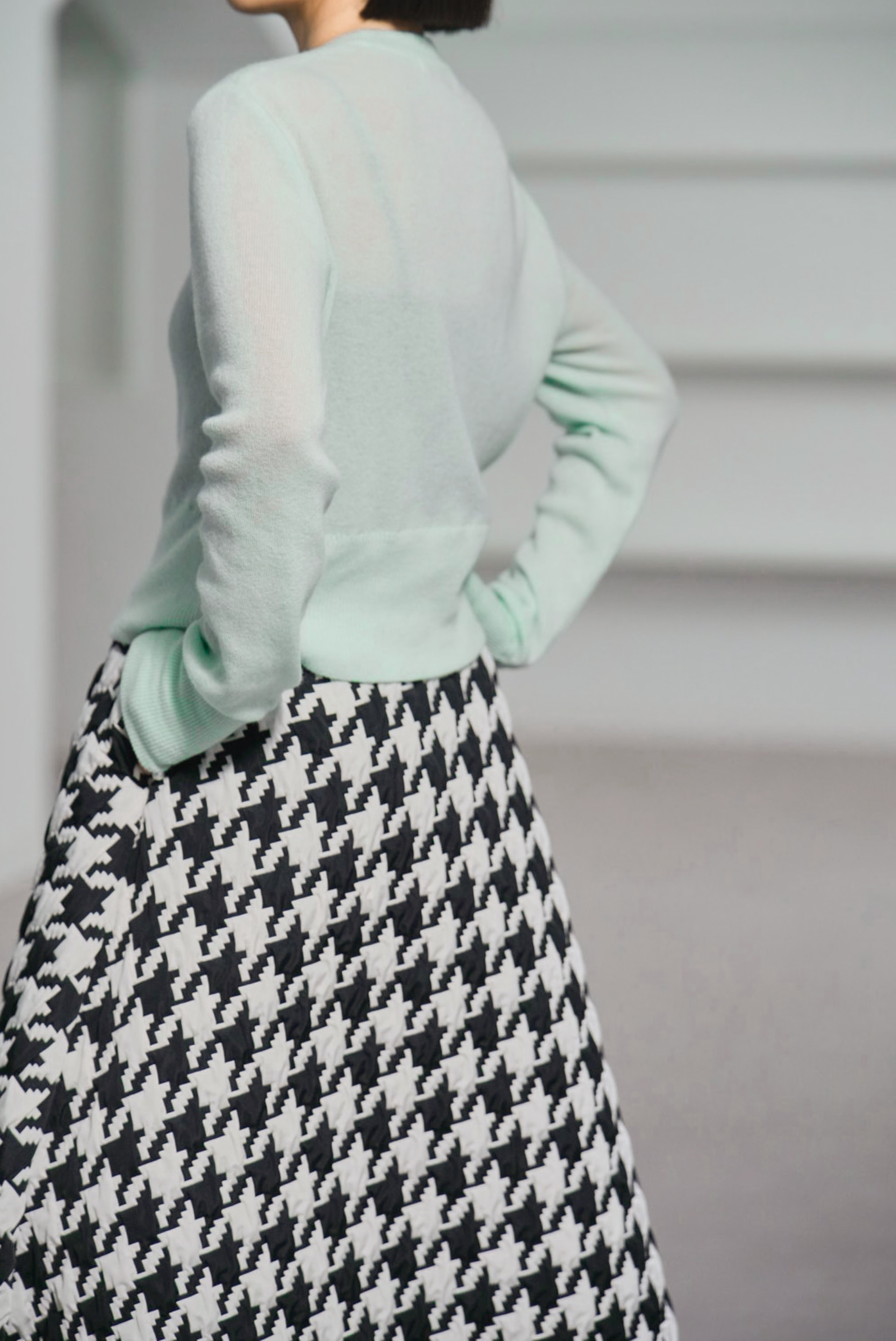 Jenny Houndstoothの画像