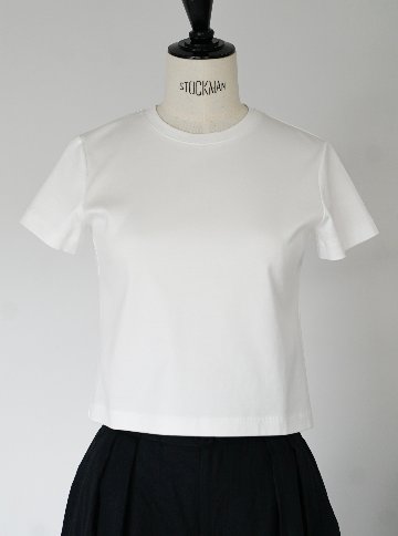Amy Clopped Whiteの画像