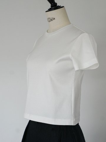 Amy Clopped Whiteの画像