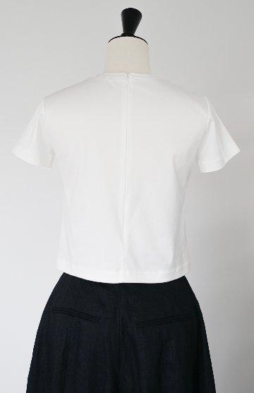 Amy Clopped Whiteの画像
