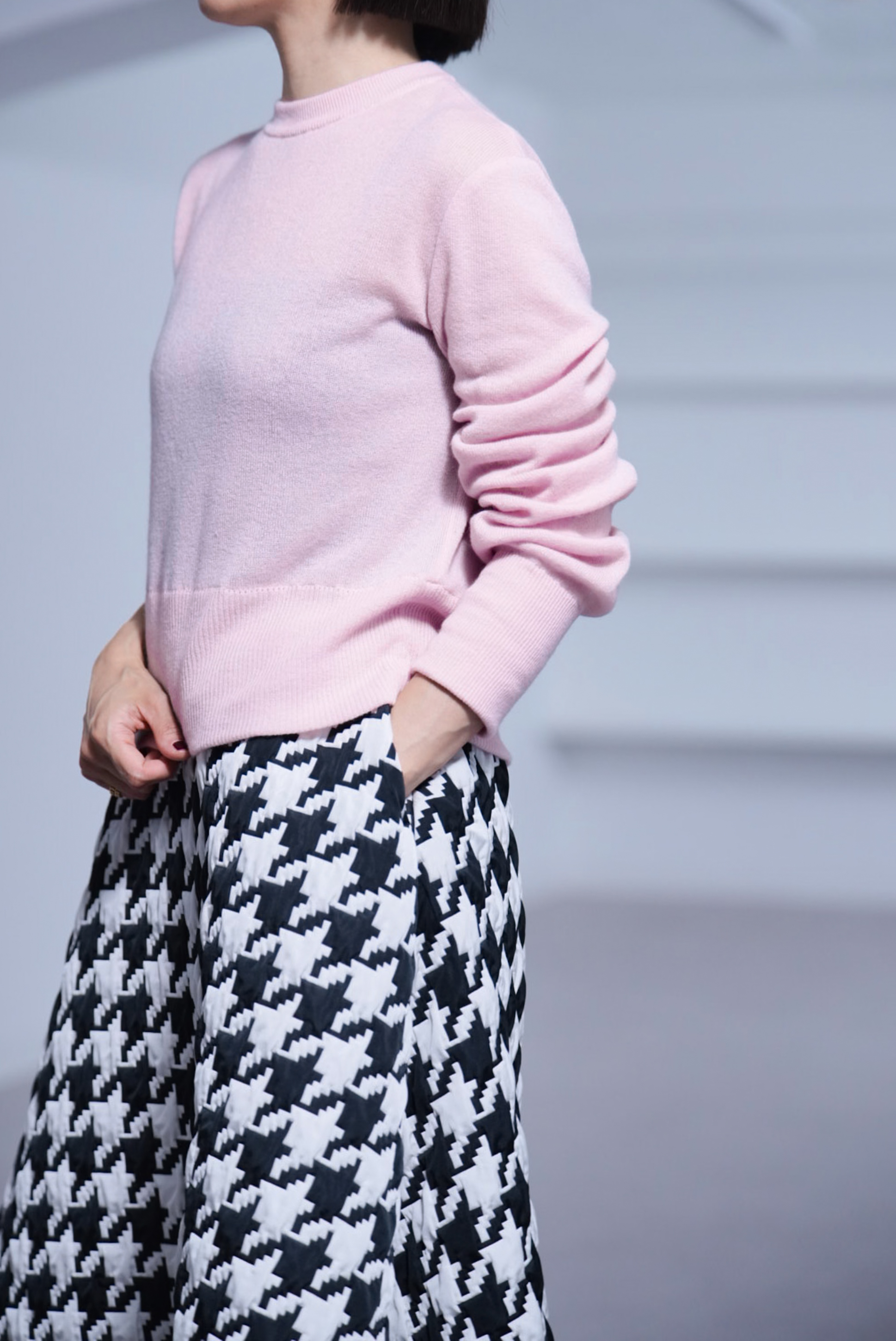 Darcy Sakuraの画像