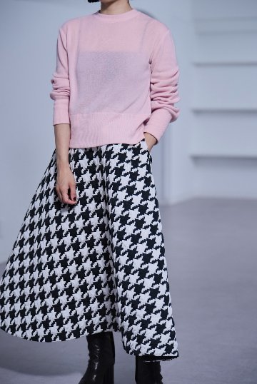 Darcy Sakuraの画像