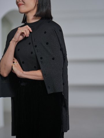 Darcy Sheer Dot Black/Blackの画像