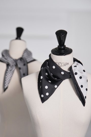 Tanya Dual Polkaの画像