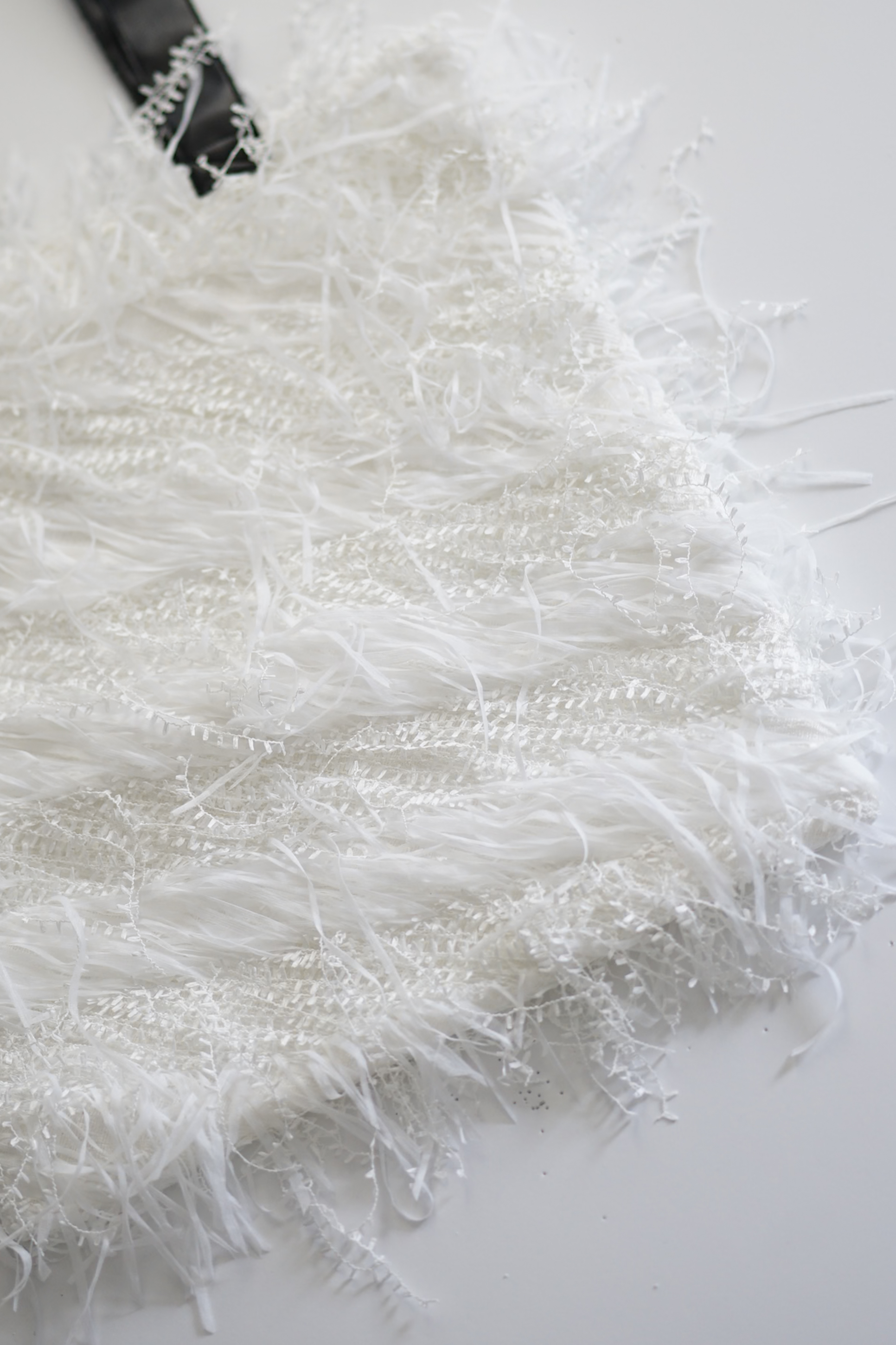 Milo Swan Tweedの画像
