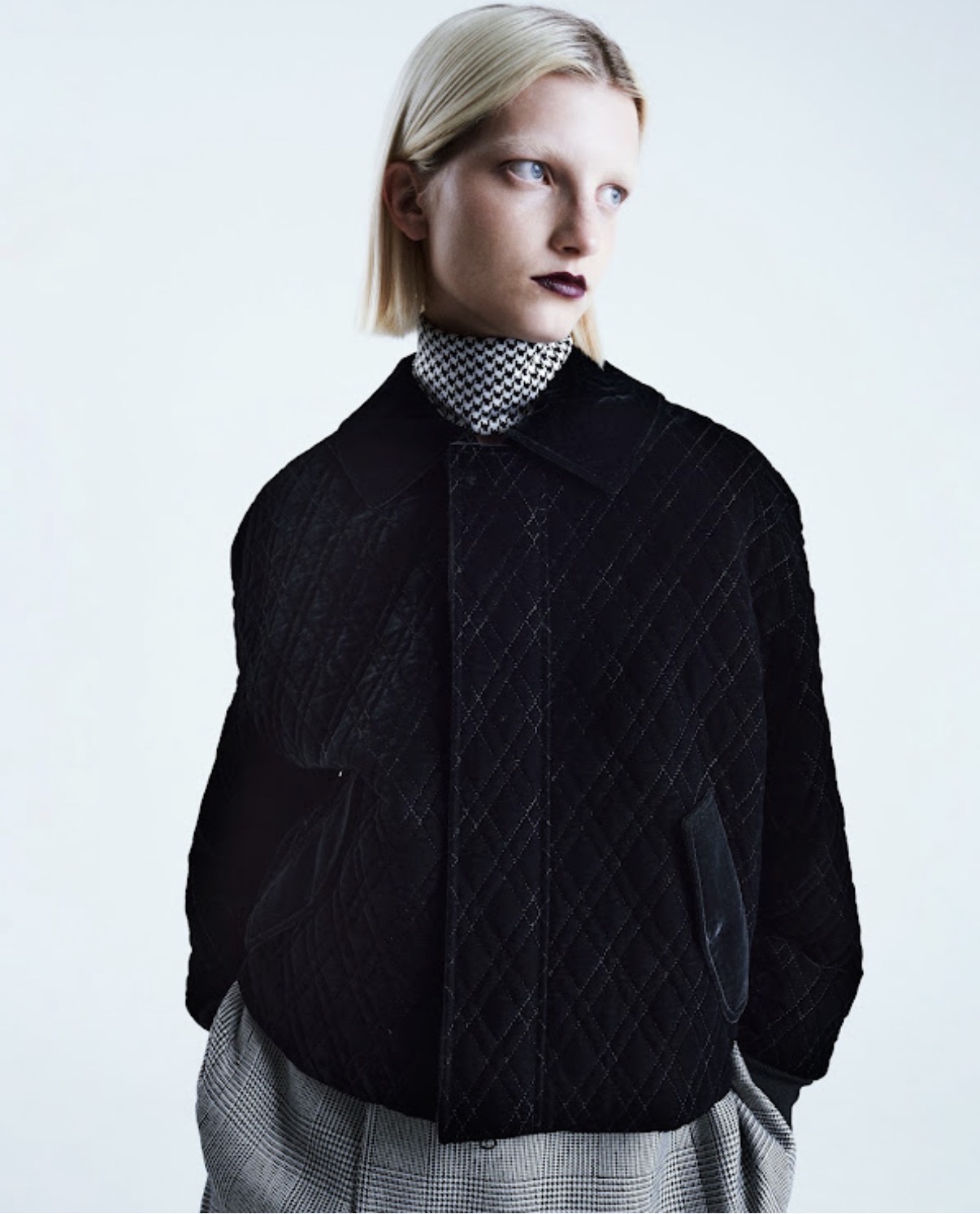 Tanya Houndstooth Polkaの画像