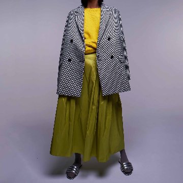 Elsa Silk Limeの画像