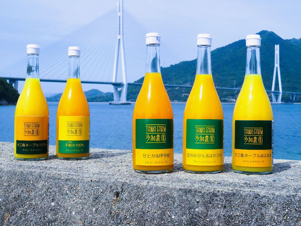【大三島いろいろ】特売！４種類詰合せジュースで色々な味を味わってください 大三島いろいろ】特売！4種類詰合せジュースで色々な味を味わっ