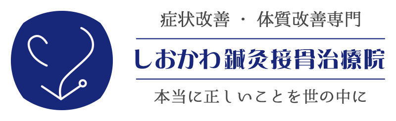 スポーツミネラル (4包入×10袋) 無添加ミネラルサプリメント