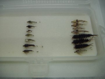 TASHIRO NYMPH SELECTIONの画像