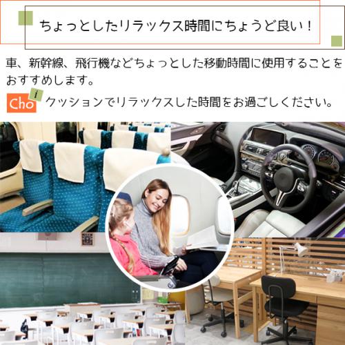 【チョイクッション】持ち運びできるコンパクトクッションです。の画像
