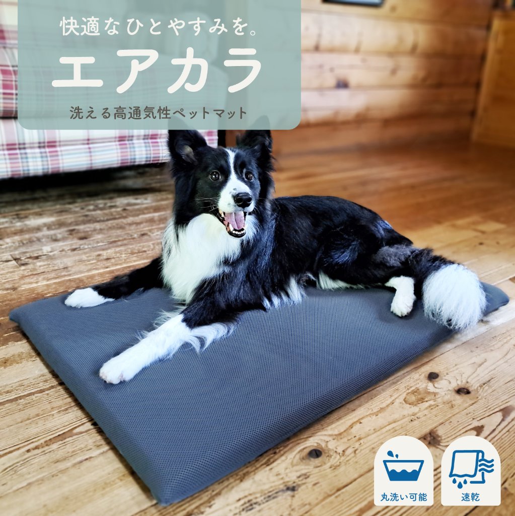 【まるごと洗える】高通気・速乾ペットマット エアカラの画像