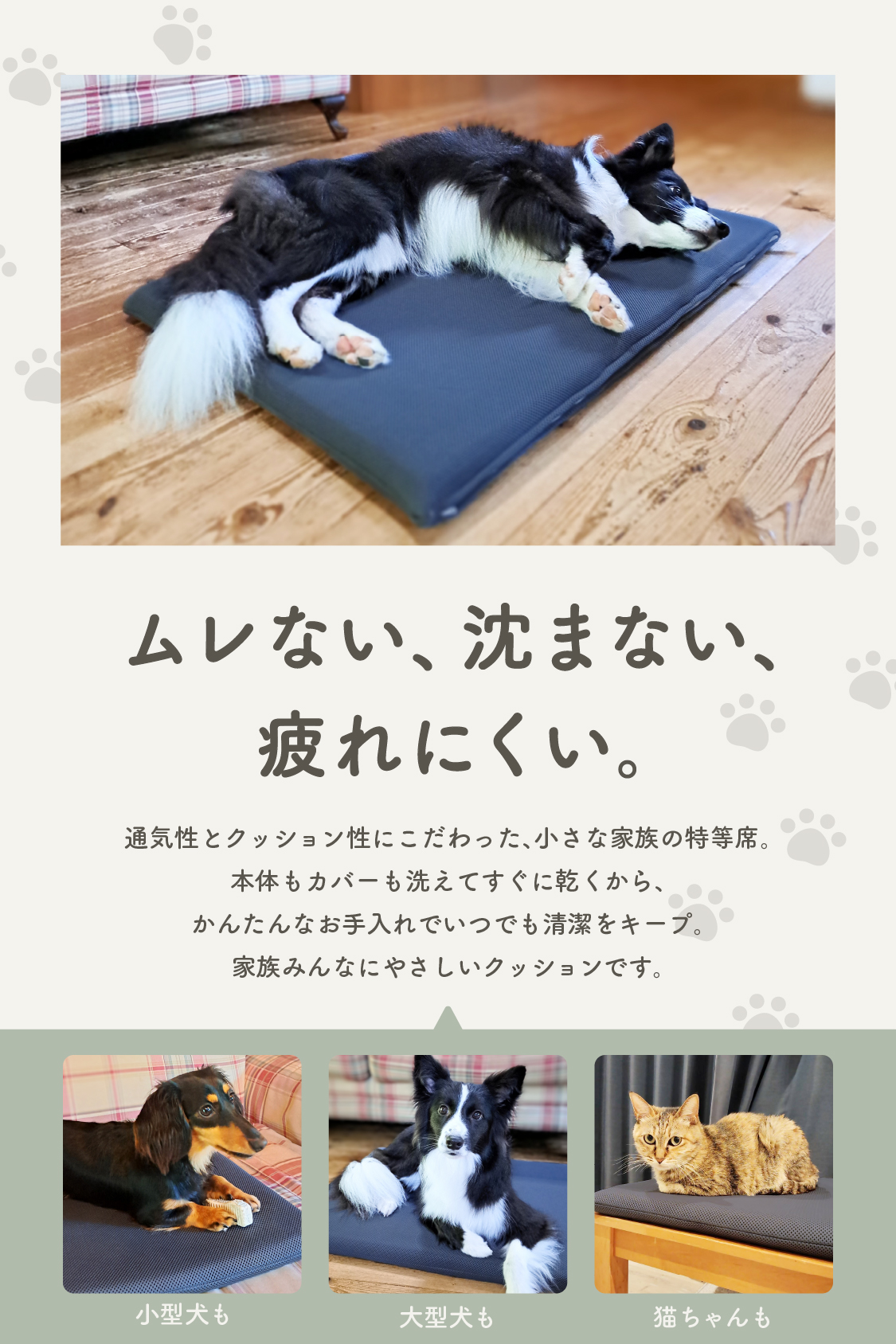 【まるごと洗える】高通気・速乾ペットマット エアカラの画像