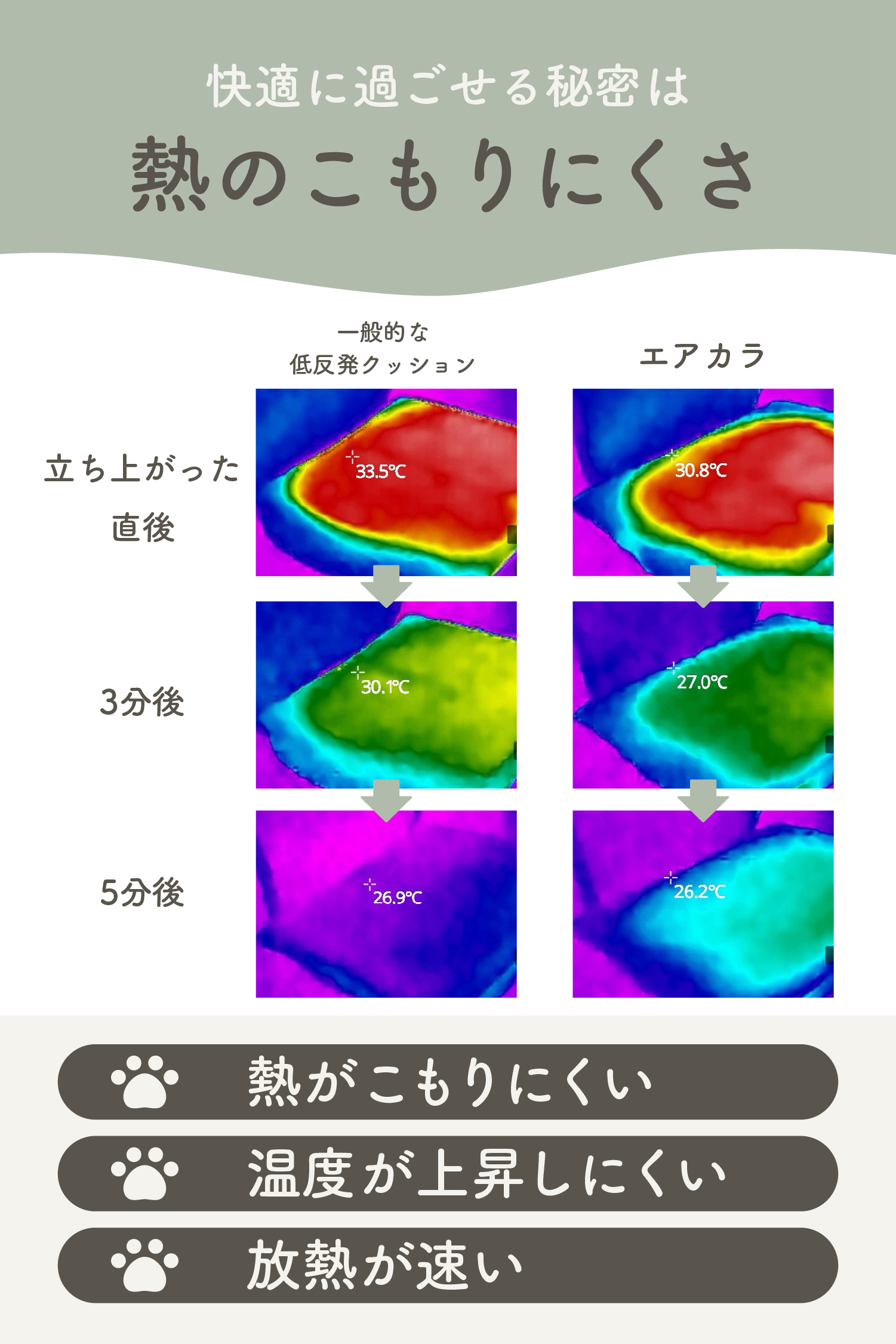 【まるごと洗える】高通気・速乾ペットマット エアカラの画像