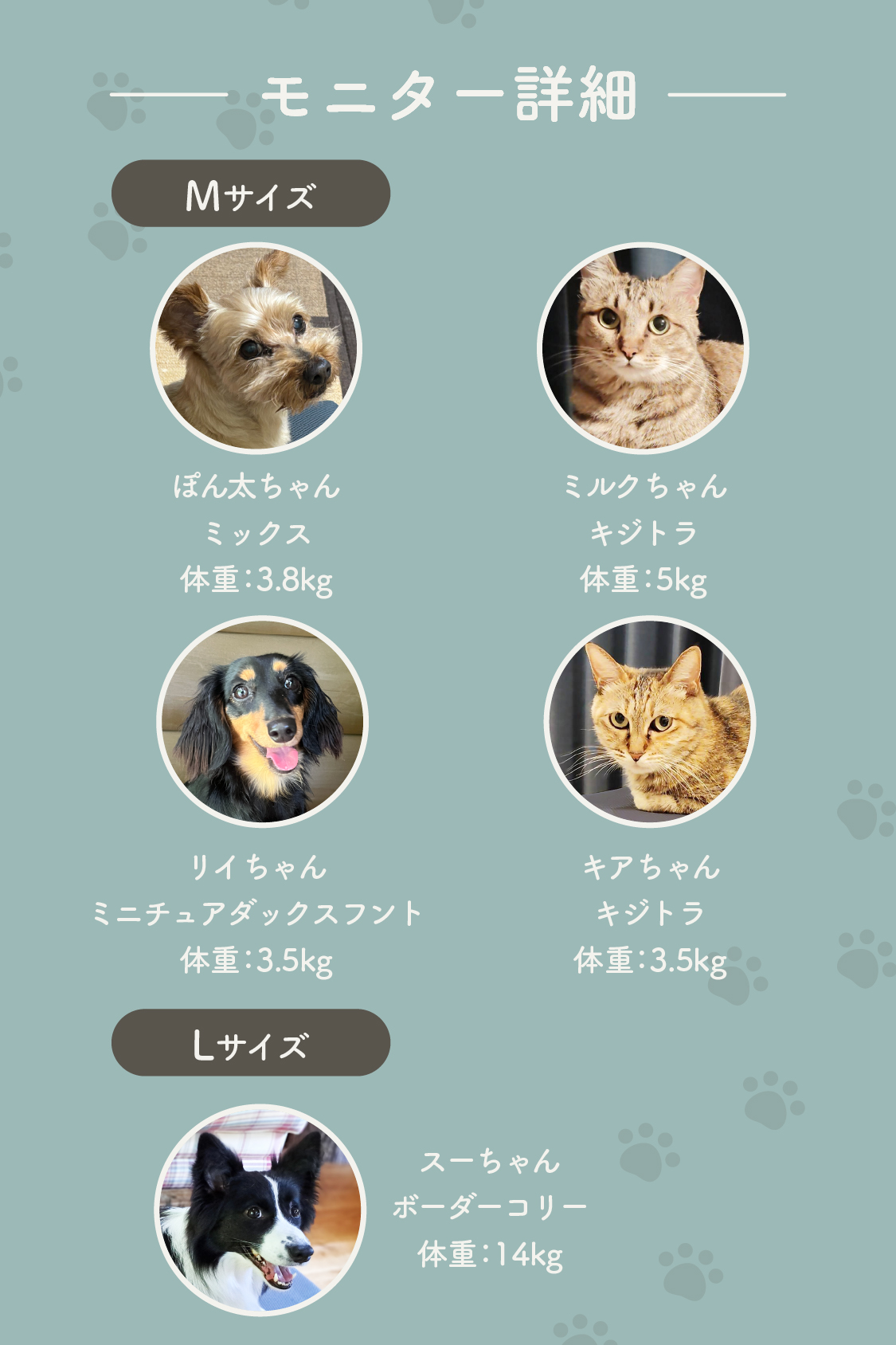 【まるごと洗える】高通気・速乾ペットマット エアカラの画像