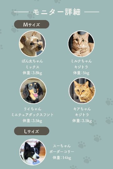 【まるごと洗える】高通気・速乾ペットマット エアカラの画像