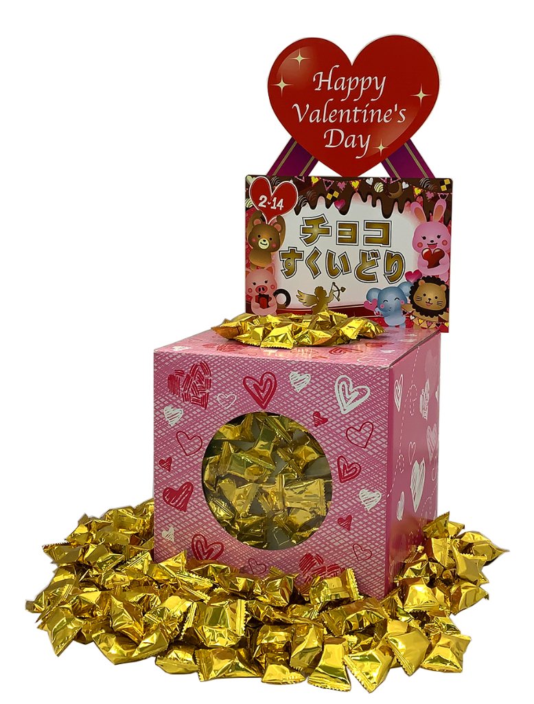 バレンタインチョコすくいどり約100名様用の画像