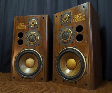 バスレフ化改造★DIATONE DS-1000★ボロンツィーター ボロンスコーカー★ウーファーエッジ軟化済み★の画像