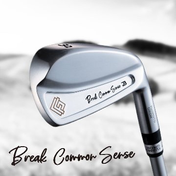 藤本技工(超軽量) Break Common Sense(5本セット) #6～PW ダイナミックゴールドEXツアーイシュー FUJIMOTO GIKOH ブレイクコモンセンス 日本仕様 特注カスタムの画像
