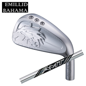 エミリッドバハマ カールヴィンソン CV10 単品アイアン #4,#5 NEW AMT BLACKトゥルーテンパー社製 EMILLID BAHAMA 日本仕様 特注カスタムの画像