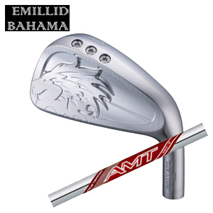 エミリッドバハマ カールヴィンソン CV10 単品アイアン #4,#5 NEW AMT REDトゥルーテンパー社製 EMILLID BAHAMA 日本仕様 特注カスタムの画像