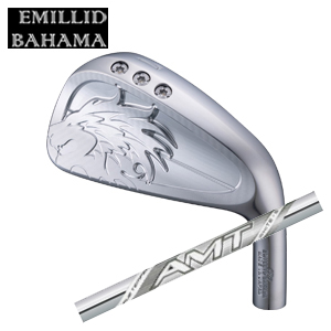 エミリッドバハマ カールヴィンソン CV10 単品アイアン #4,#5 NEW AMT WHITE トゥルーテンパー社製 EMILLID BAHAMA 日本仕様 特注カスタムの画像