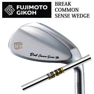 藤本技工 Break Common Sense Wedge ダイナミックゴールド トゥルーテンパー社製 FUJIMOTO GIKOH ブレイクコモンセンスウェッジ 日本仕様正規品 特注カスタムの画像