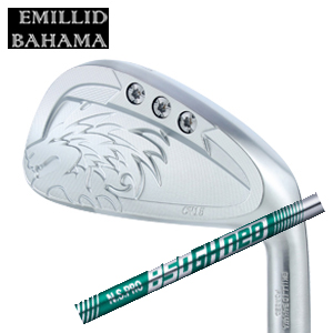 エミリッドバハマ カールヴィンソン CV15アイアン(6本セット) #6～GW or #5～PW NSPRO 850GH neo ネオ EMILLID BAHAMA 日本仕様 特注カスタム の画像
