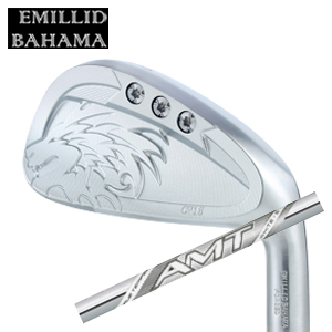 エミリッドバハマ カールヴィンソン CV15アイアン(6本セット) #6～GW or #5～PW NEW AMT WHITE トゥルーテンパー EMILLID BAHAMA 日本仕様 特注カスタム の画像