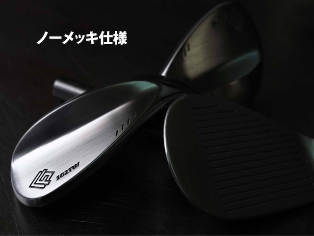藤本技工 FG-102TW TOUR FORGED     エアロテック　スチールファイバーシャフト各種　(トゥルーテンパー)の画像