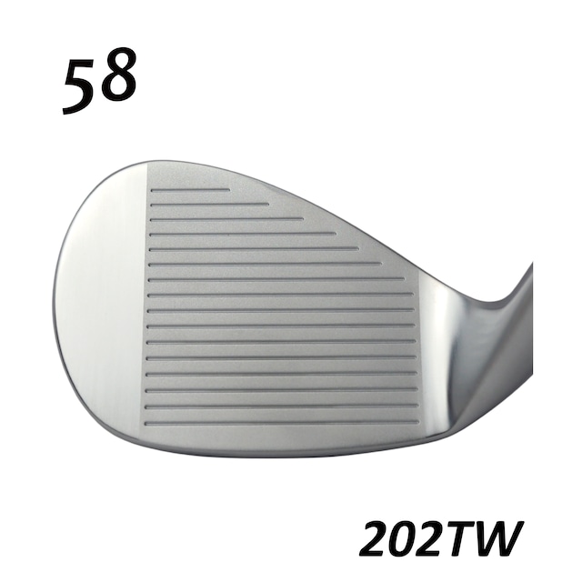 藤本技工 FG-202TW TOUR FORGED   スチールファイバーシャフト各種　(トゥルーテンパー)の画像