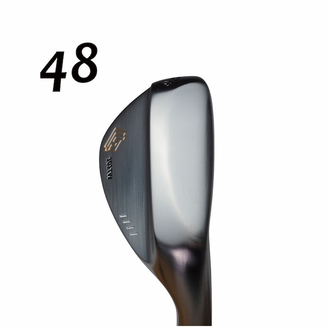藤本技工 FG-101TW TOUR FORGED   DERAMAX シャフト各種(03iシリーズなど)　デラマックス の画像