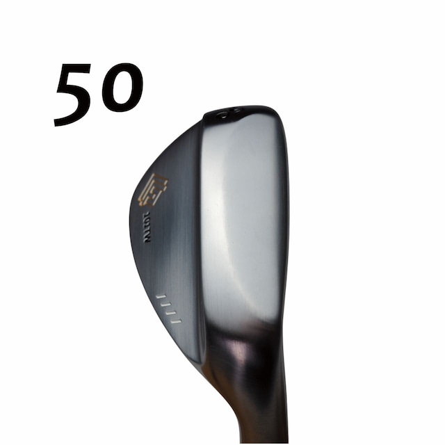 藤本技工 FG-101TW TOUR FORGED   DERAMAX シャフト各種(03iシリーズなど)　デラマックス の画像