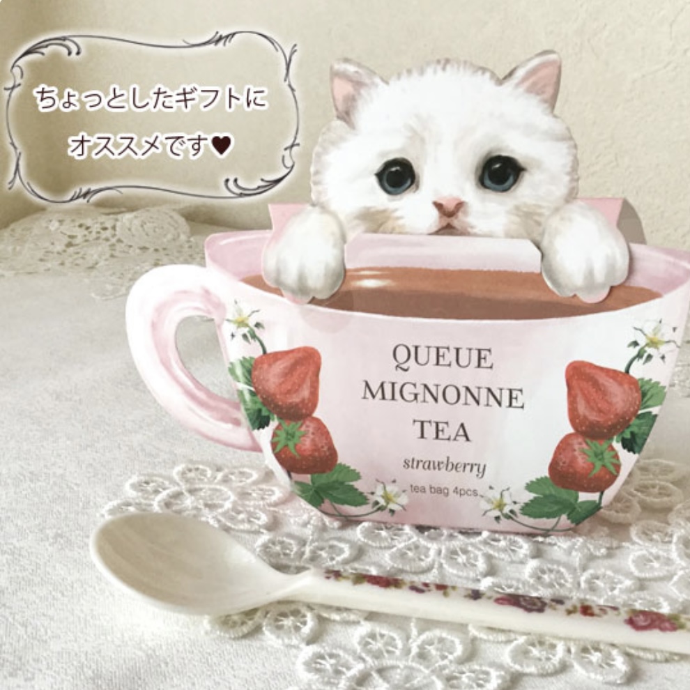 猫紅茶*白猫画像