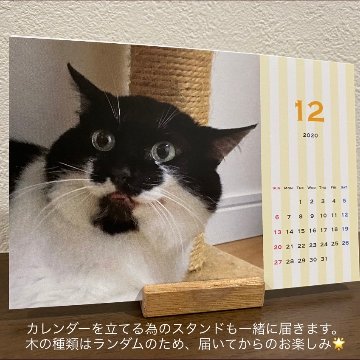 タピオカ2024年カレンダーの画像