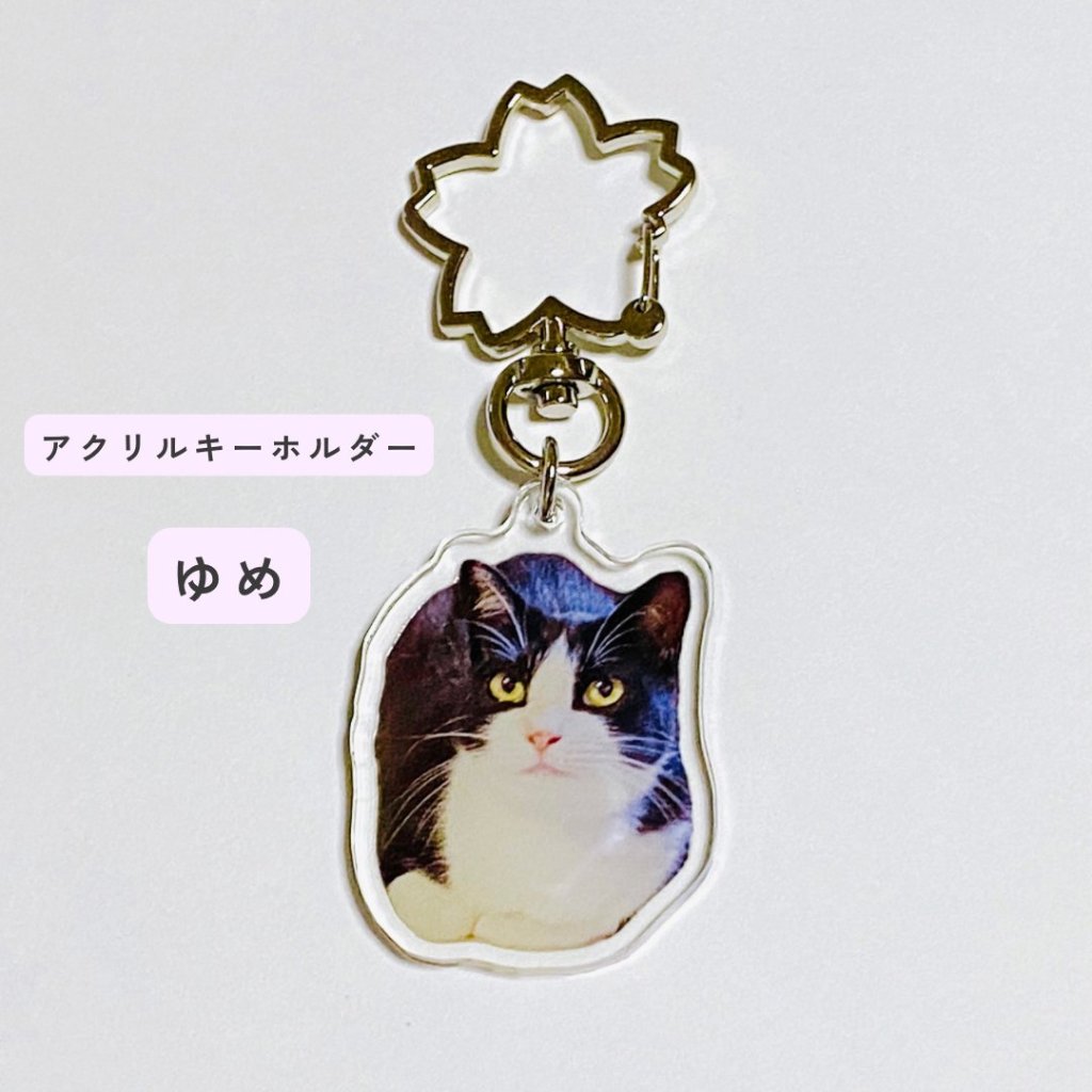 ゆめ*アクリルキーホルダーの画像