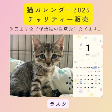 ラスク2025年カレンダーの画像