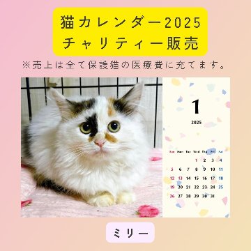 ミリー2025年カレンダーの画像