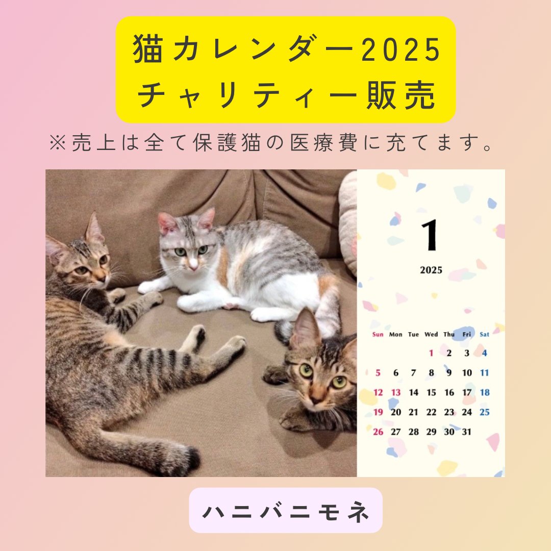 ハニバニモネ2025年カレンダーの画像