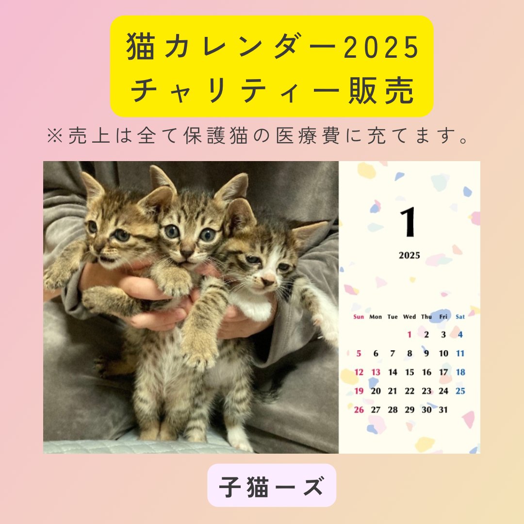 子猫ーズ 2025年カレンダーの画像