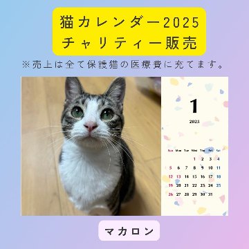 マカロン2025年カレンダーの画像