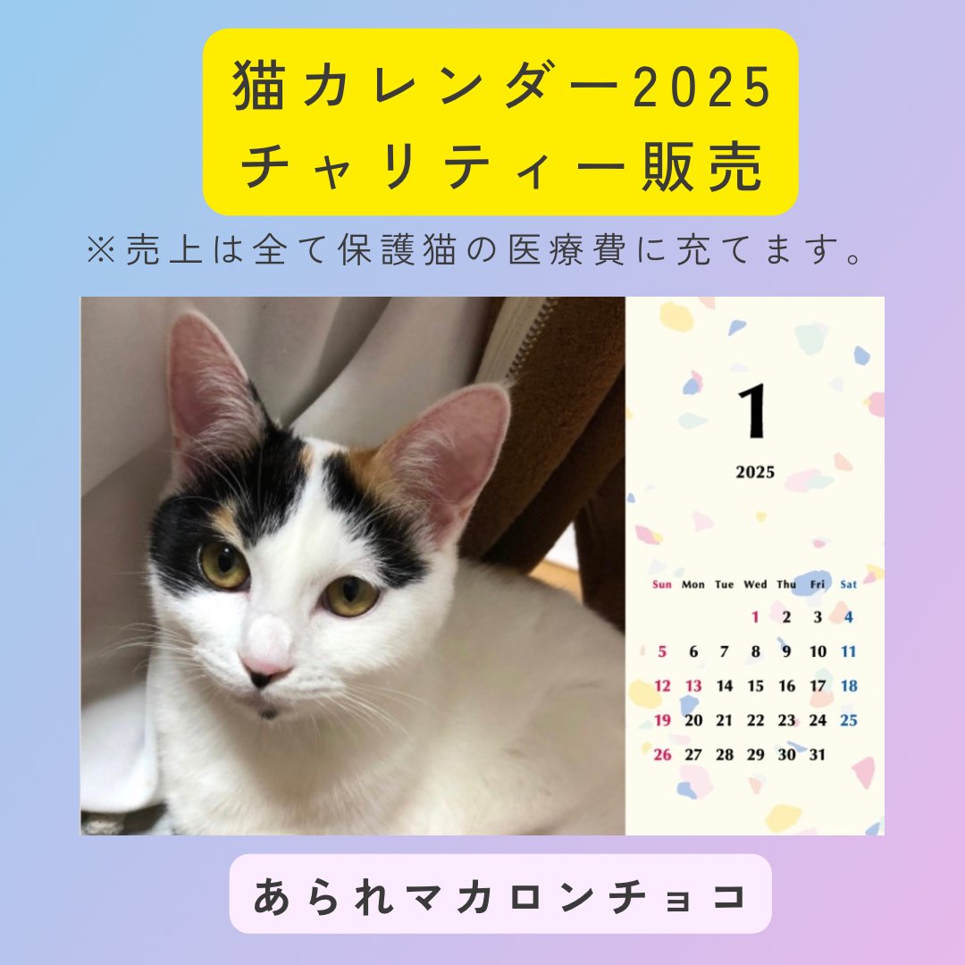 あられマカロンチョコ2025年カレンダーの画像