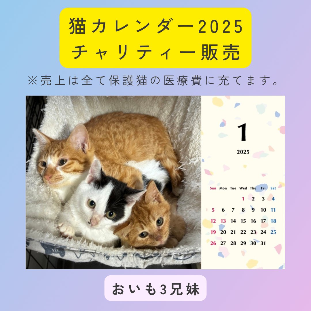 おいも3兄妹2025年カレンダーの画像