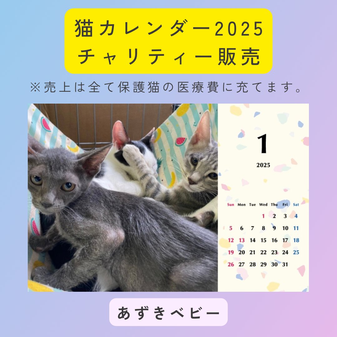 あずきベビー2025年カレンダーの画像