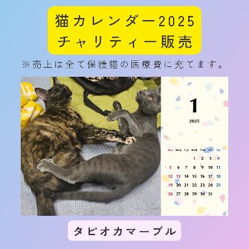 タピオカマーブル2025年カレンダーの画像