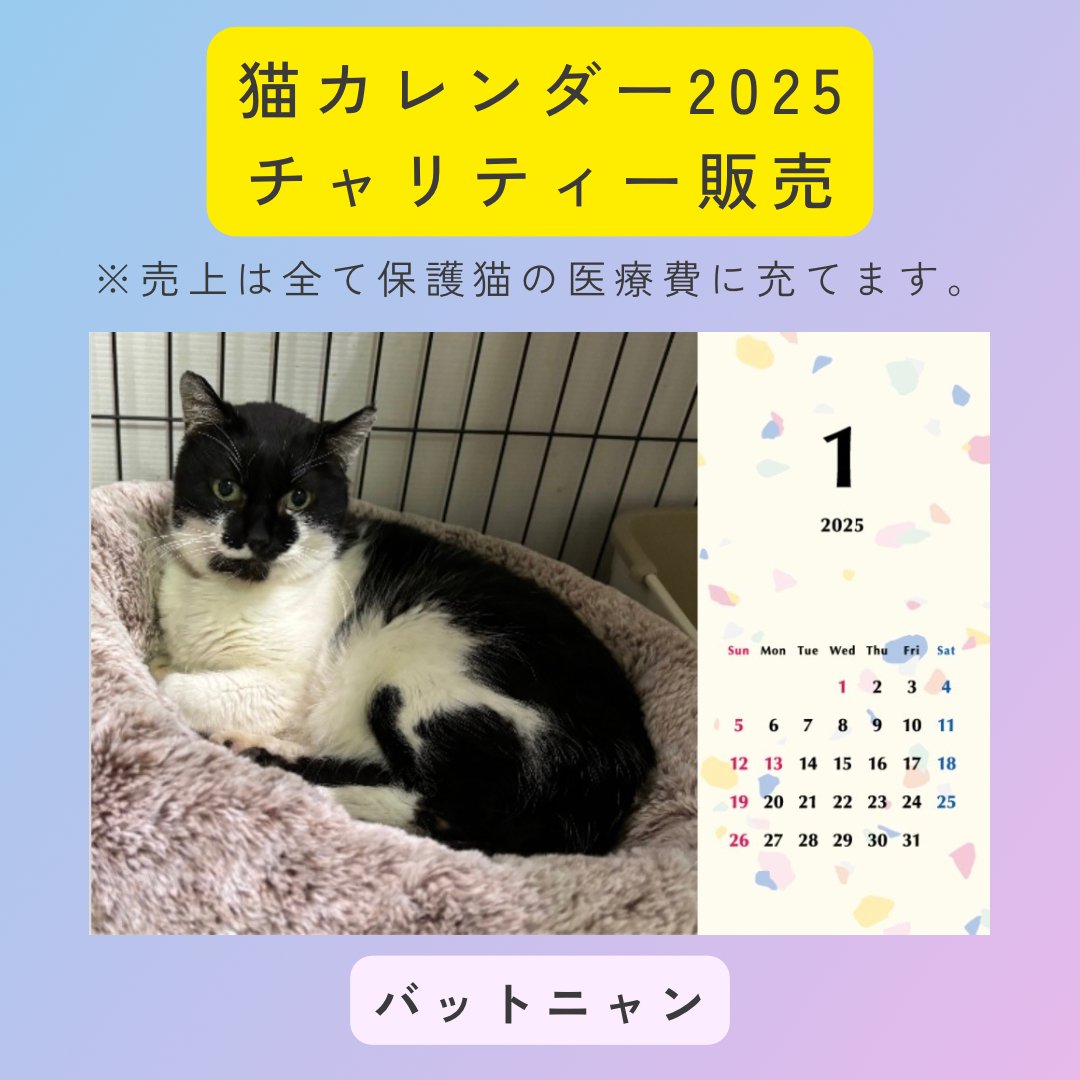 バットニャン2025年カレンダーの画像