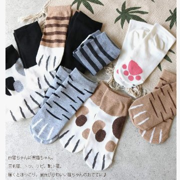 ねこ靴下*5種類　Aの画像