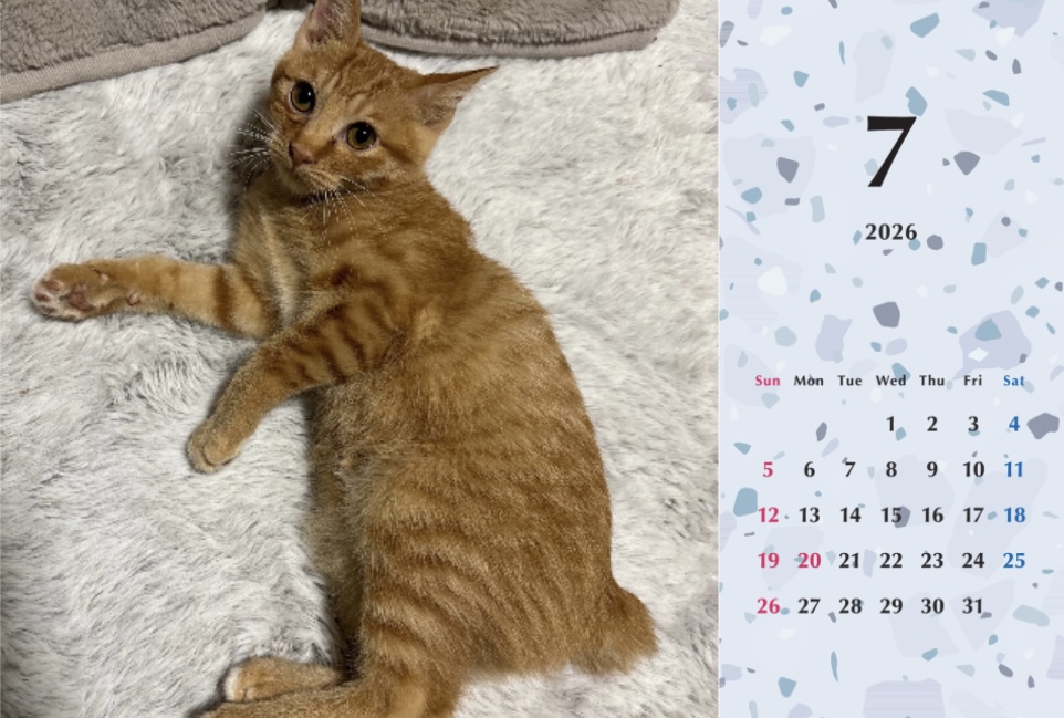 ビスケ2026年カレンダーの画像